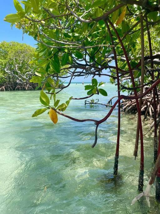 Les Pieds Dans L'Eau Chez Syl Le Moule Exterior foto