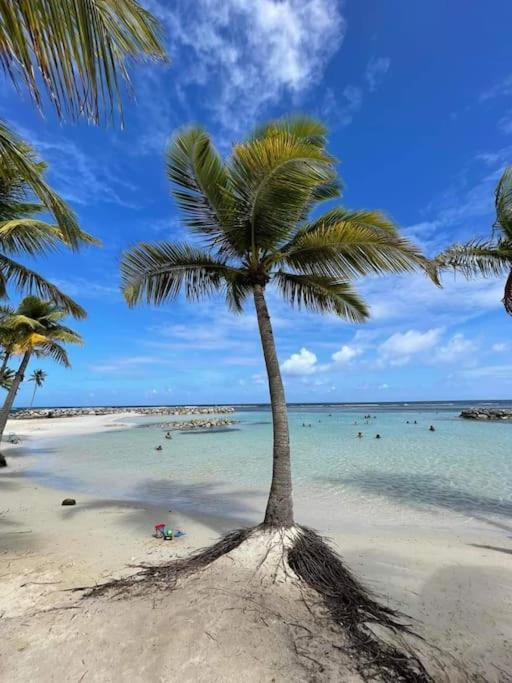 Les Pieds Dans L'Eau Chez Syl Le Moule Exterior foto