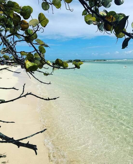 Les Pieds Dans L'Eau Chez Syl Le Moule Exterior foto